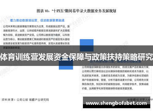 体育训练营发展资金保障与政策扶持策略研究