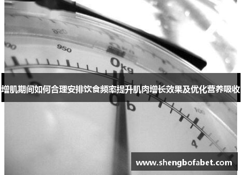 增肌期间如何合理安排饮食频率提升肌肉增长效果及优化营养吸收